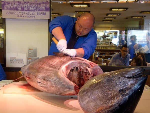 Pantangan ibu hamil mengkonsumsi ikan laut berukuran besar seperti tuna atau hiu